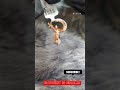 2 point 5 grams ear rings ashok marg sagar Ashtekar and sons