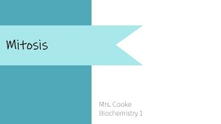 Chapter 6, Lesson 5: Mitosis