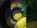 mango 🥭 sago desert #food #foryou #mangosago #refreshing #summerdrink #recipereel #trending