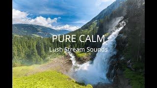 Deep Focus: Lush Green Stream & Soft Piano | Nature Sanctuary for Mental Clarity screenshot 2