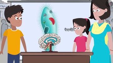 संरचना एवं प्रकार्य | Part 1/1 | Cell — Structure And Functions | Hindi | Class 8