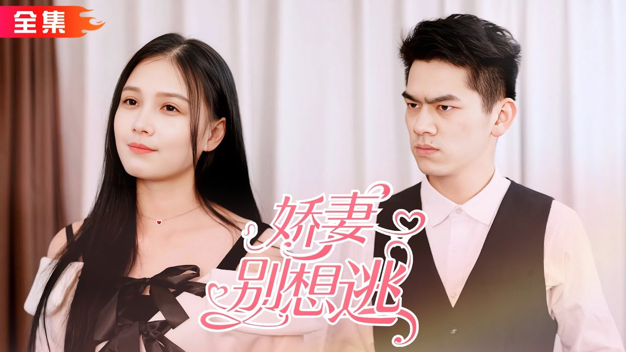 白氏千金的绝望与霸总的绝密追逐