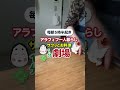 かぶの葉っぱと油揚げどんこ炒め！アラフィフ一人暮らし「サクッとお料理1分劇場」#shorts