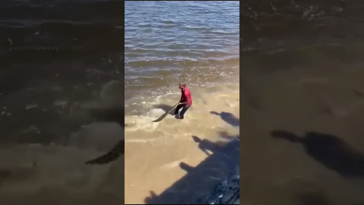 sabe pq homem vive menos, não? então veja esse vídeo: