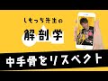 新解剖学 第10骨 手のひらに隠れている中手骨をリスペクト