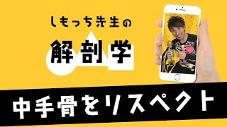 新解剖学 第10骨 手のひらに隠れている中手骨をリスペクト