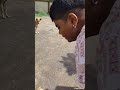 प्रभू सुख उतना ही देना🙏😌#street dog#motivational #thought #tranding reel#yt viral#yt video#yt short