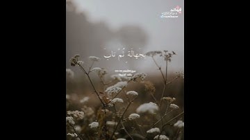 ﴿ وإذا جاءك الذين يؤمنون بآياتنا... ﴾ الأنعام ٥٤-٥٥ || راشد الحليبة