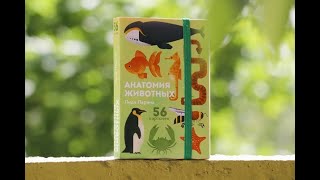 Обзор на Анатомию животных Лиды Лариной Обзор на Анатомию животных Лиды Лариной