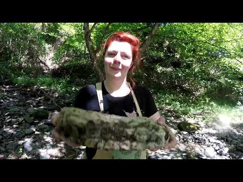 ბროლის ველი