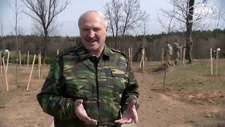 Лукашенко О Дебатах Порошенко И Зеленского
