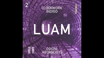 Clockwork Indigo (Flatbush Zombies & The Underachievers) - LUAM