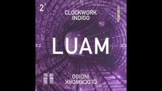 Clockwork Indigo (Flatbush Zombies & The Underachievers) - LUAM chords