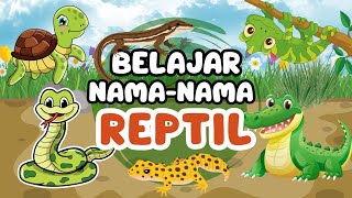 Mengenal Hewan Reptil untuk Anak 🐊| Belajar Nama-Nama Hewan 🐍🦎