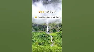 القرآن الكريم بصوت جميل جدا ومريح 🍃 ❤️ #المصحف #اكسبلور #راحة_نفسية