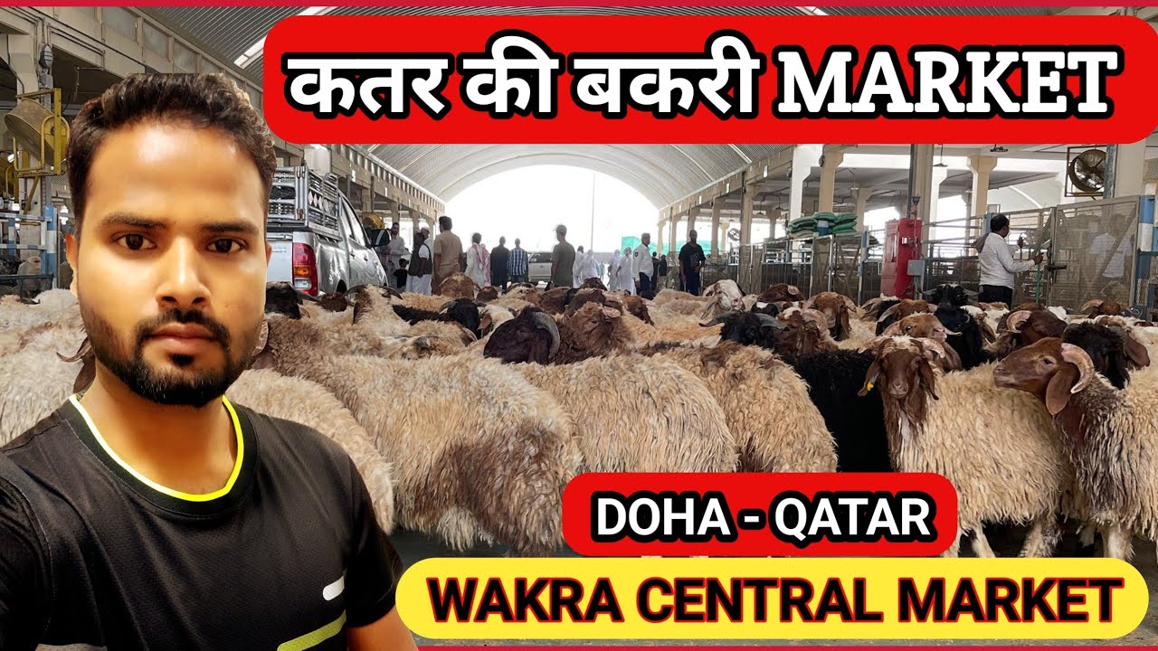 Wakra central market Doha Qatar 