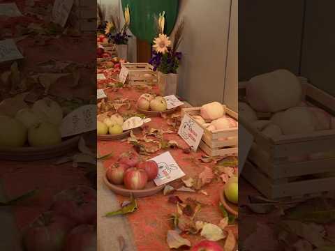 Short video