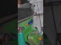 cinematic motor