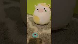 our first interview🌈 #song #squishmallows #interview #groupd #fyp
