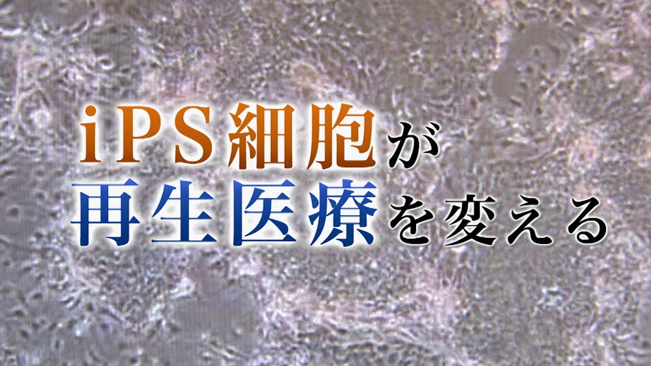 映画『いのちをつくる～iPS細胞・ES細胞がかなえる未来