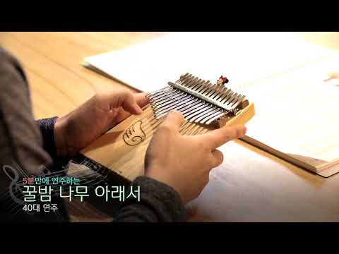 칼림바 연주 영상 꿀밤 나무 아래서 40대 720p