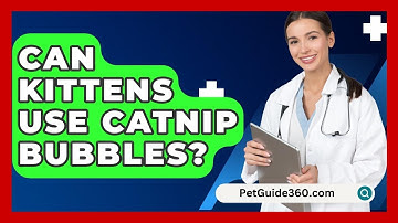 Can Kittens Use Catnip Bubbles? - PetGuide360.com