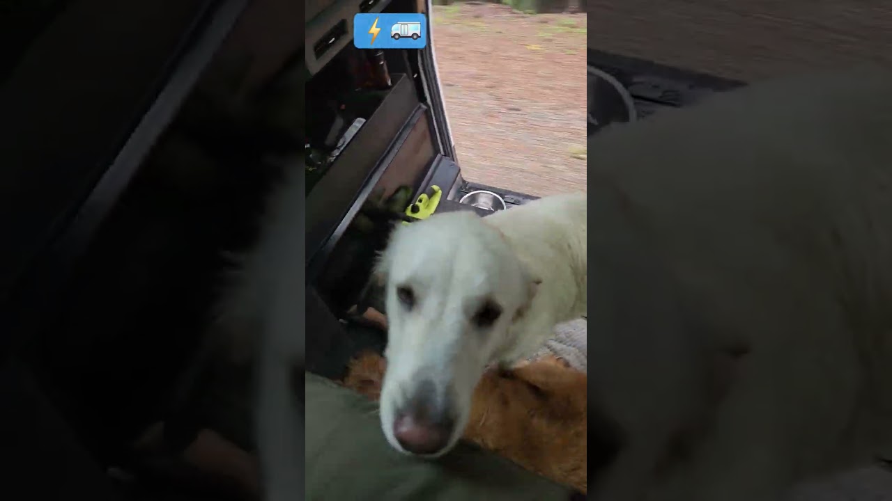 Off pavement adventures in a Brightdrop electric van! ⚡️🚐🐾 