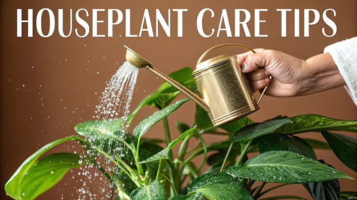 HOUSEPLANT CARE TIPS FOR BEGINNERS » + printable guide