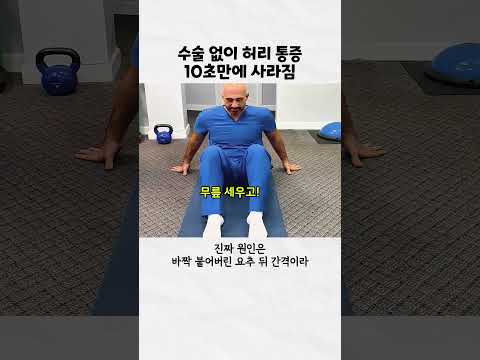 수술없이 허리 통증 잡는 기적의 자세 #홈트 #운동 #허리디스크 thumbnail