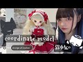 【開封】コーディネートモデルのSDM60をお迎えしたょ