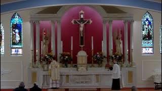 Mass of St Elizabeth of Hungary  19.11.25