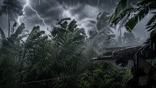 No Ads Heavy Rain,Strong Wind & Powerful Thunder Sounds for Deep Sleep | Black Screen