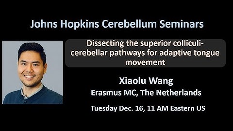 Xiaolu Wang: Adaptive control of tongue movements via the cerebellum and superior colliculus