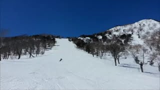 オグナ ほ たか スキー 場 天気