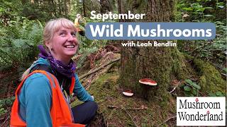 September Wild Mushrooms with Leah Bendlin in Mushroom Wonderland 2026