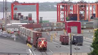 CN 100 Gevo 3226 Leading Local Train 517 Working at PSA Halifax Terminal Halterm - Halifax NS