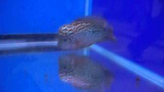 SDC13289.AVI