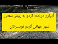 آبیاری سنتی درخت گردو شهرستان تویسرکان 