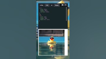Creating a Zoom Effect on Images with CSS object-fit! #csstricks #cssbackground