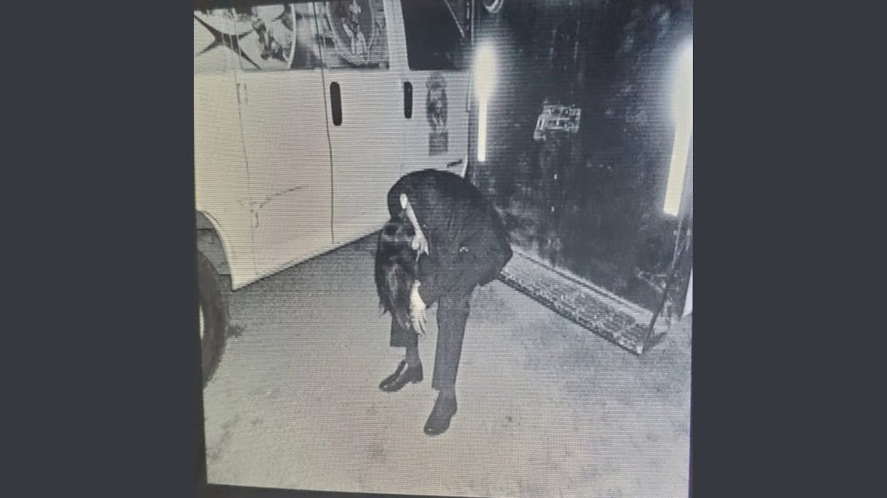 Watch Blues on YouTube Watch Blues on YouTube