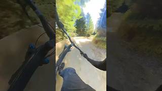 dyfi bike park #mtb #shorts