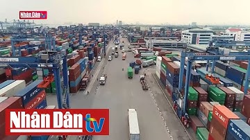 Xử lý hơn 1.000 container hàng tồn đọng tại Cảng Cát Lái