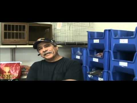 Richard's High Point video phone é a continuação de telephone