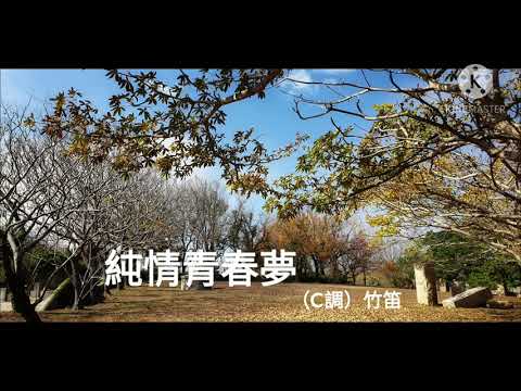 純情青春夢（C調）水管笛