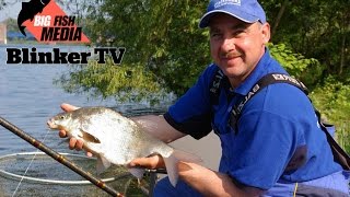 : Feederangeln im Duisburger-Hafen mit Michael Zammataro [HD]