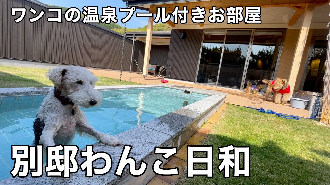 90歳になった祖母のお誕生日旅行に芦北・水俣へ［犬連れ家族旅行］別邸わんこ日和