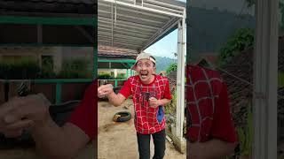 kucing lagi makan sama kucing lagi Joget