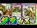 【デュエプレ】最強の白黒アウゼス！アルファディオスとの豪華コンビで青単に勝てる。 6弾/新弾/最新 #5【デュエルマスターズプレイス】