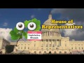 Understanding the Branches of Government