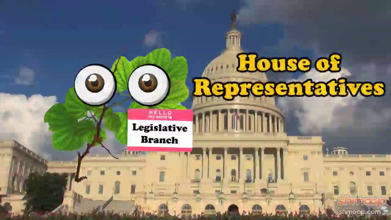 Branches Of Government - 